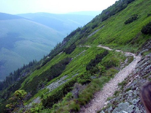 spindl_image1.jpg
