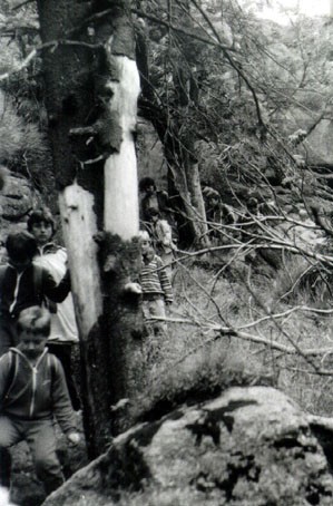 album-namornici_image3.jpg
