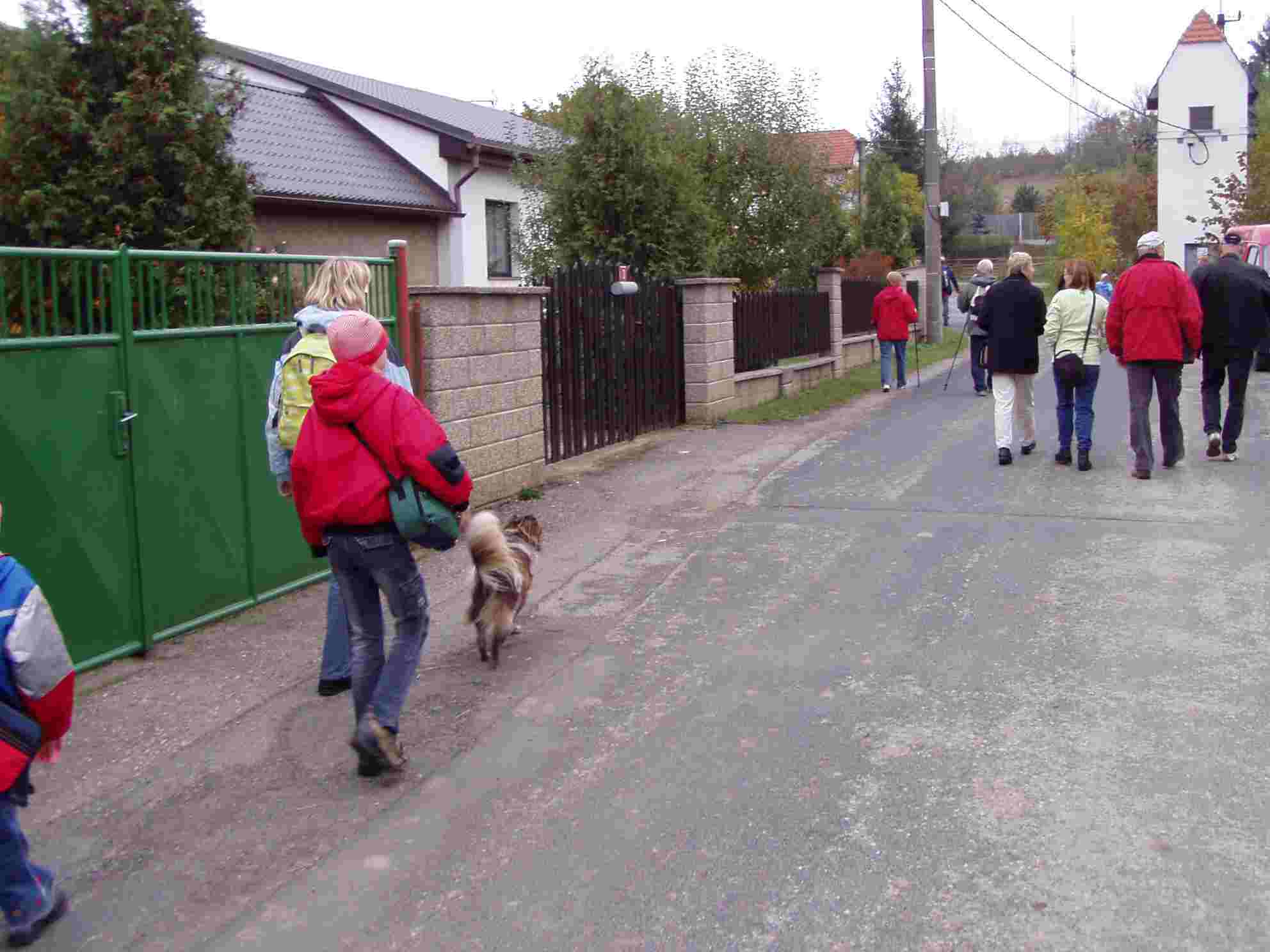 P1010002 (1).jpg