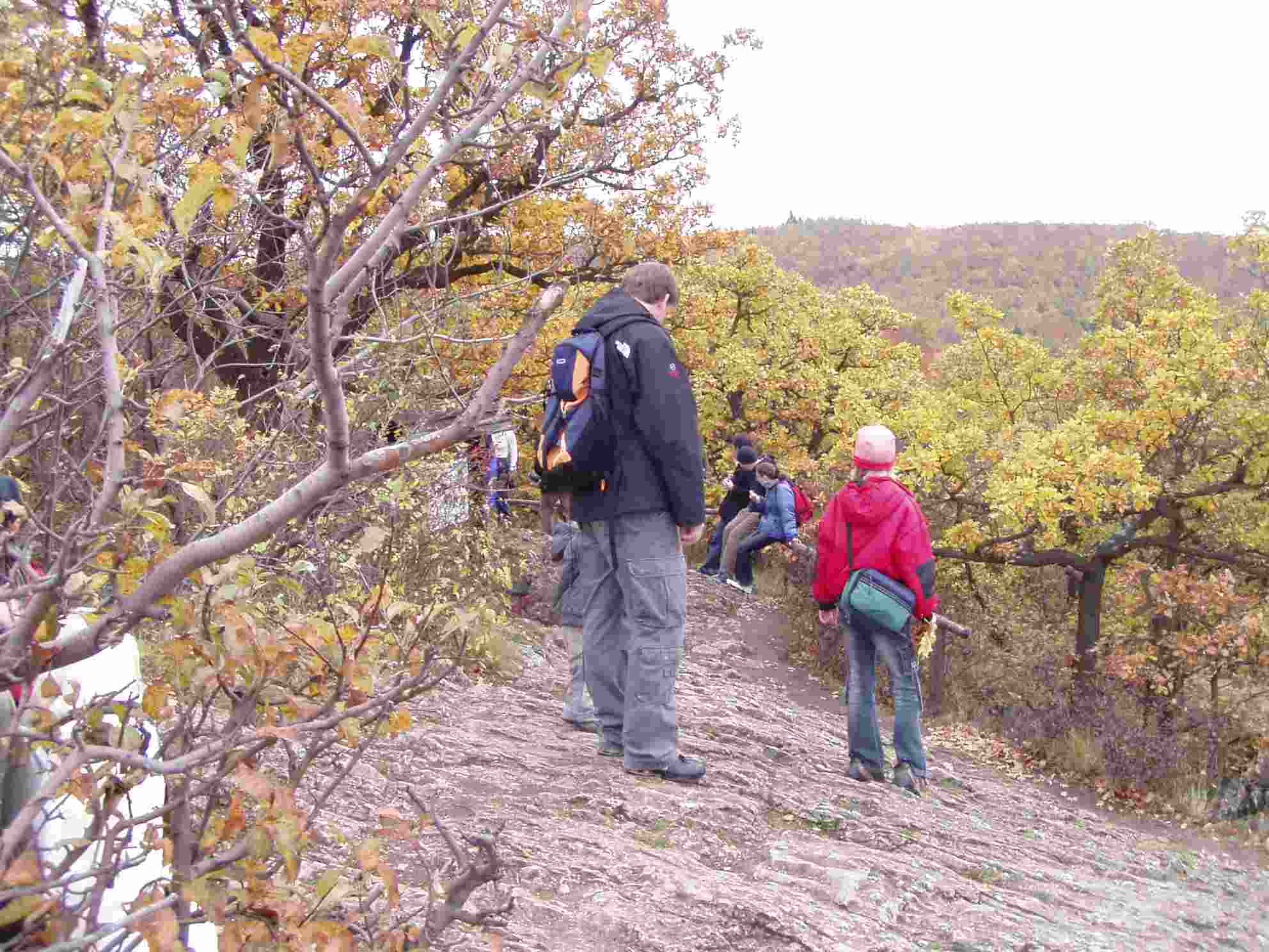 P1010019 (1).jpg